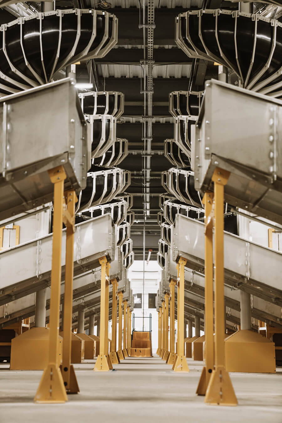 Automated parcel sorting conveyor